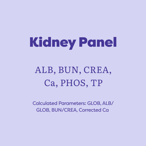 A light lavender graphic with dark purple text reading 'Kidney Panel' and listing analytes such as ALB, BUN, CREA, Ca, PHOS, and TP, plus calculated parameters.