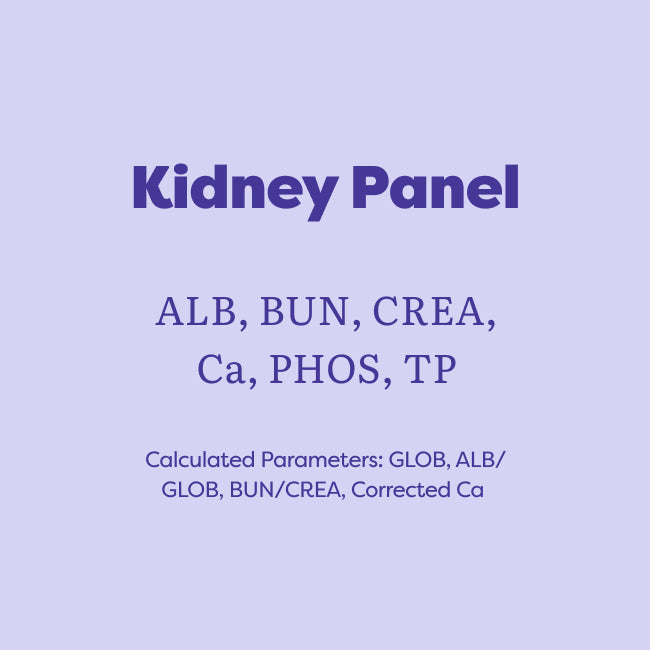 A light lavender graphic with dark purple text reading 'Kidney Panel' and listing analytes such as ALB, BUN, CREA, Ca, PHOS, and TP, plus calculated parameters.