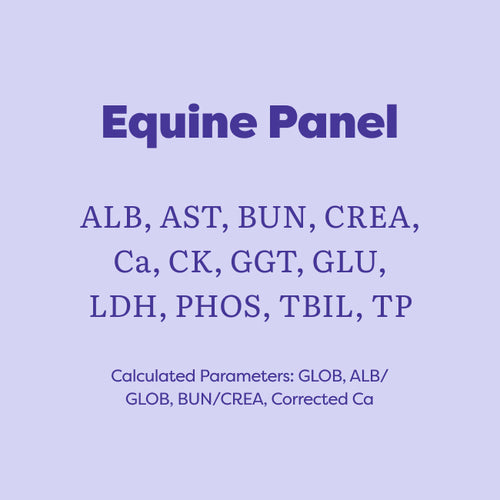 A light lavender graphic with dark purple text reading 'Equine Panel' and listing multiple blood test parameters, plus 'Calculated Parameters: GLOB, ALB/ GLOB, BUN/CREA, Corrected Ca'.