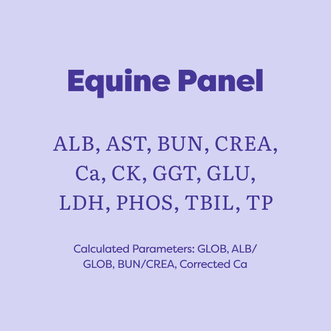 A light lavender graphic with dark purple text reading 'Equine Panel' and listing multiple blood test parameters, plus 'Calculated Parameters: GLOB, ALB/ GLOB, BUN/CREA, Corrected Ca'.
