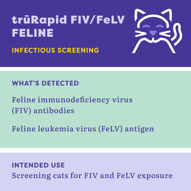 An informational graphic for trürRapid FIV/FeLV Feline infectious screening, with a purple header, a light green middle section listing detected antibodies and antigens, and a light lavender footer describing intended use for screening cats.